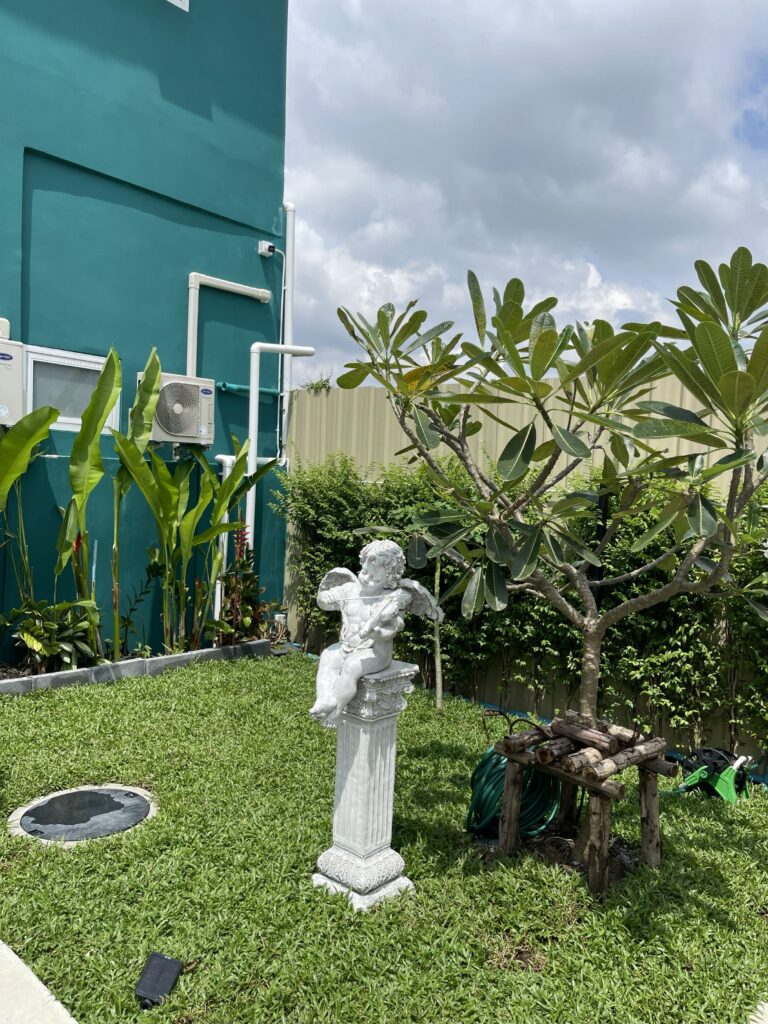 IMG_0079 IMG 0079 768x1024