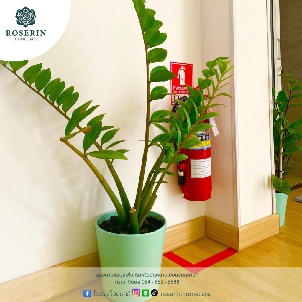 617770558 122129537690993811 4687940940872666320 n