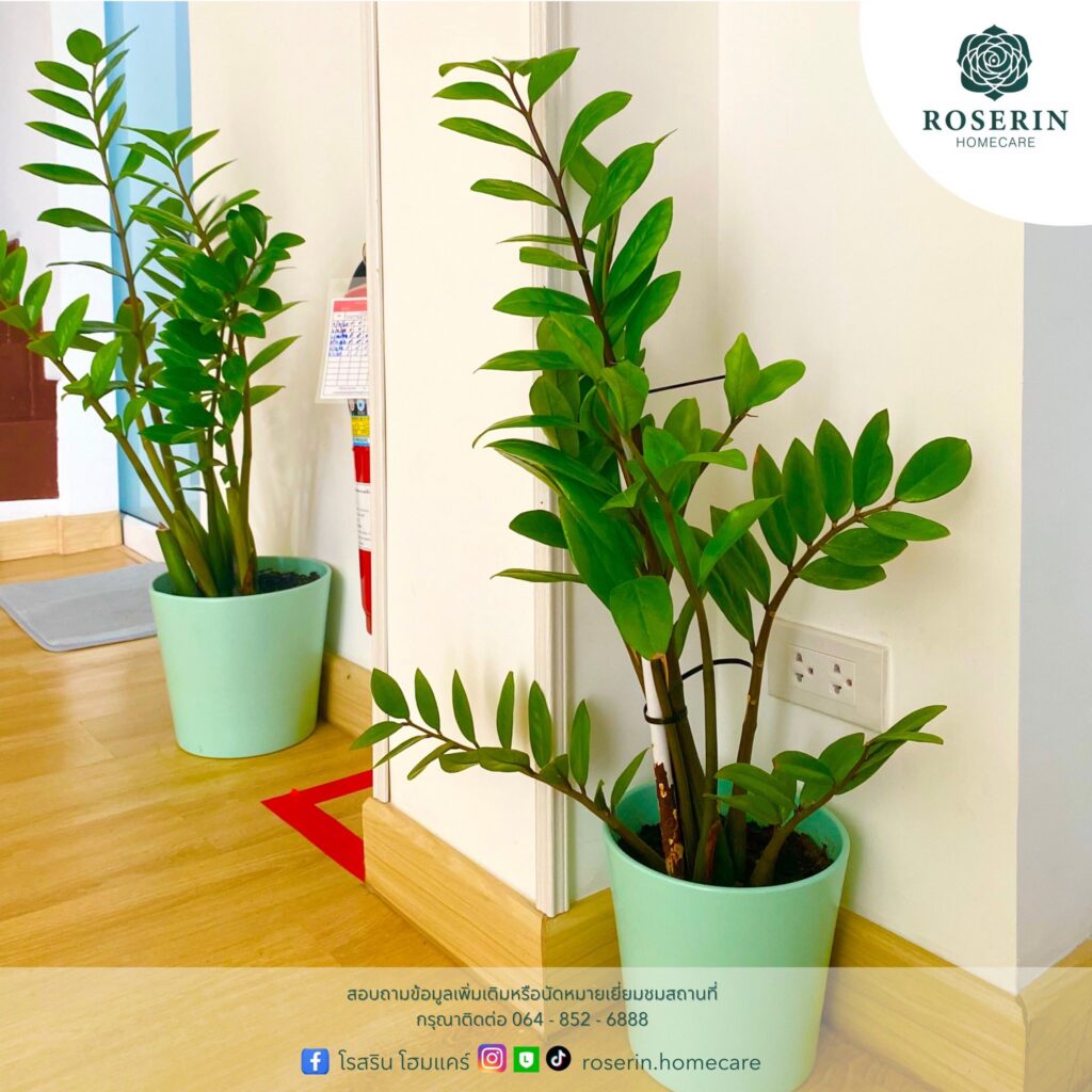 617895426 122129537678993811 5185302504633186116 n