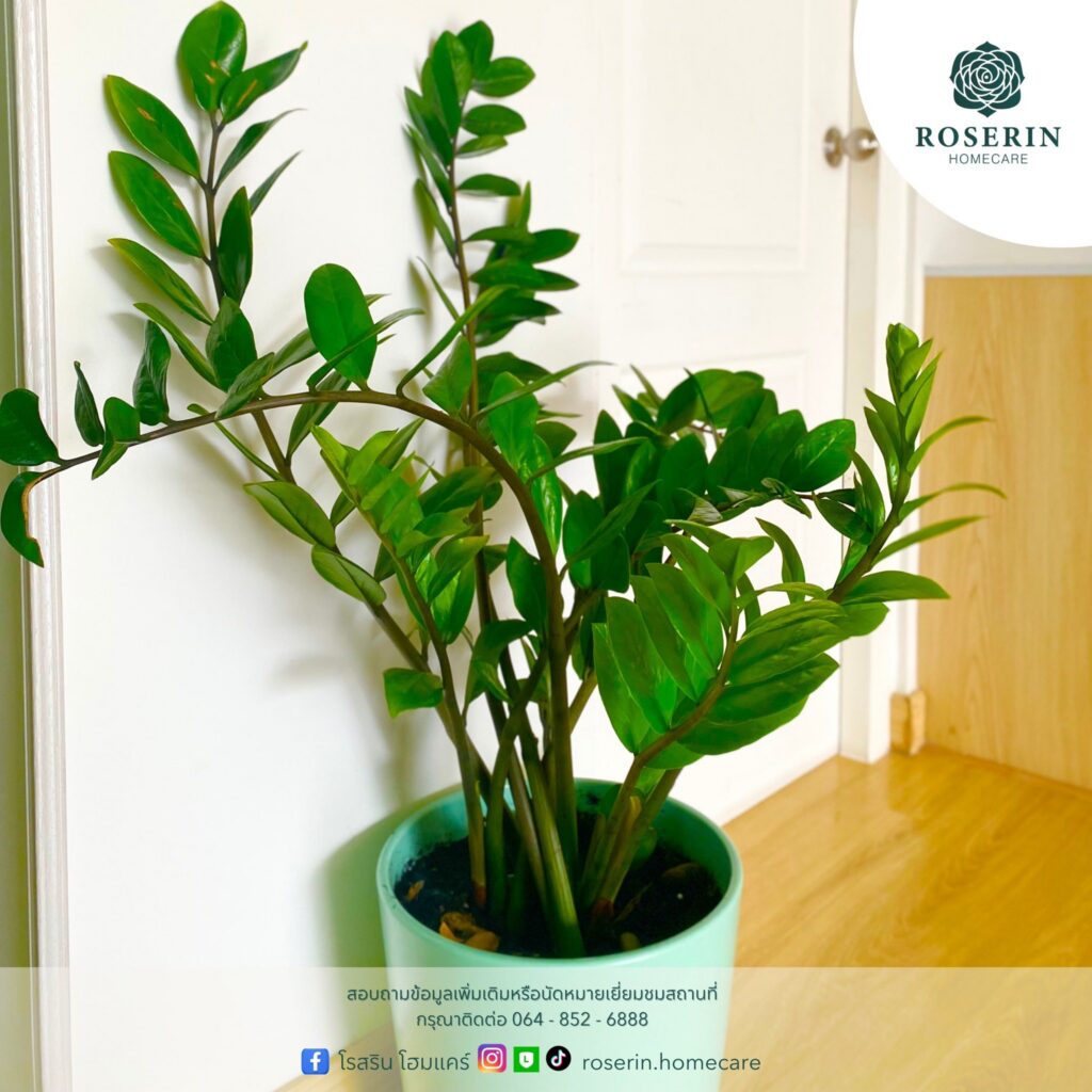 618248203 122129537732993811 103690818399872897 n